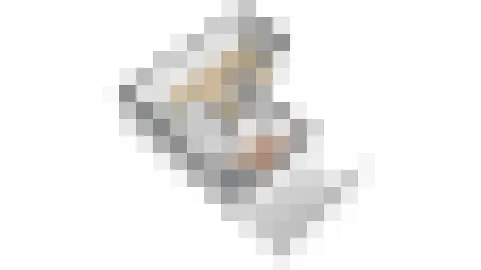 De Roozendries 8 Moergestel thumbnail 22