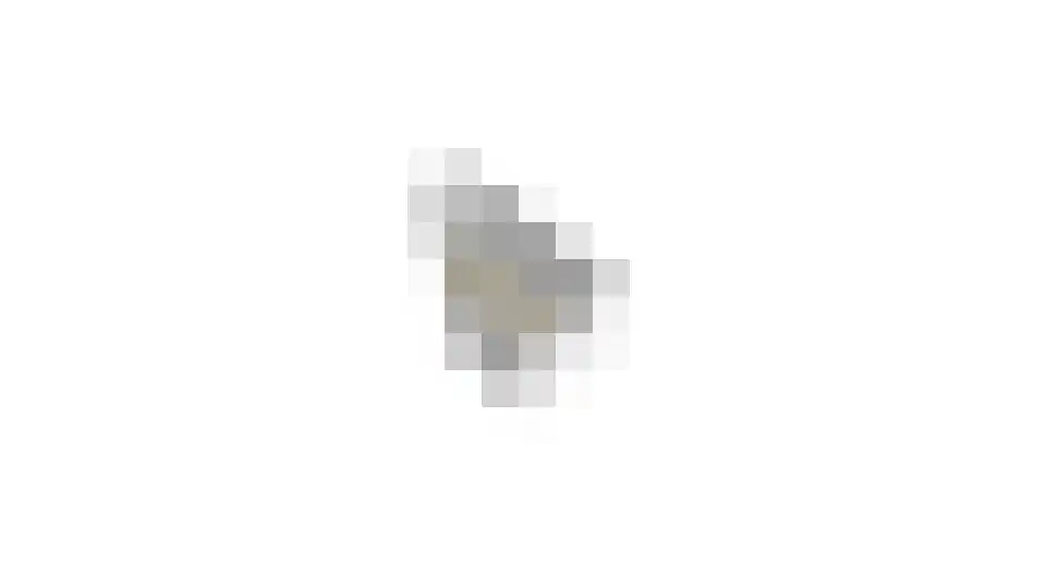 De Roozendries 8 Moergestel thumbnail 24