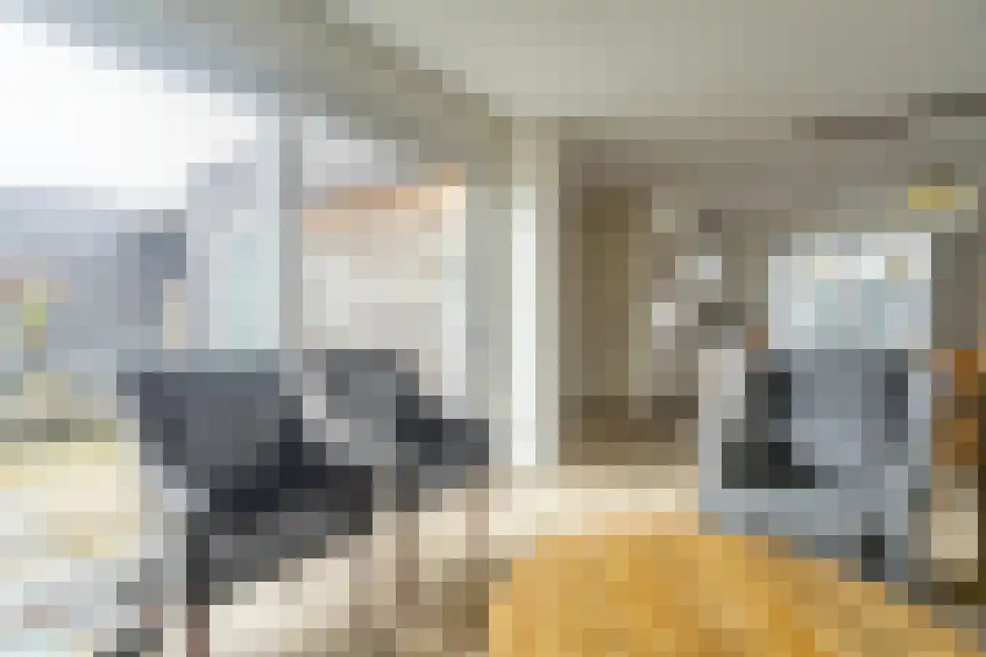 De Roozendries 8 Moergestel thumbnail 6