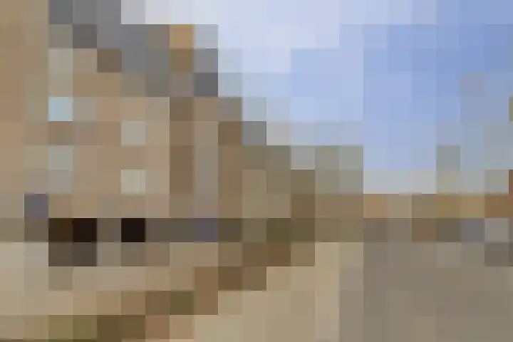 De Roskam 119 Venlo thumbnail 18