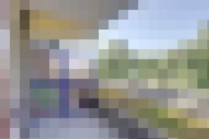 De Roskam 127 Venlo thumbnail 15