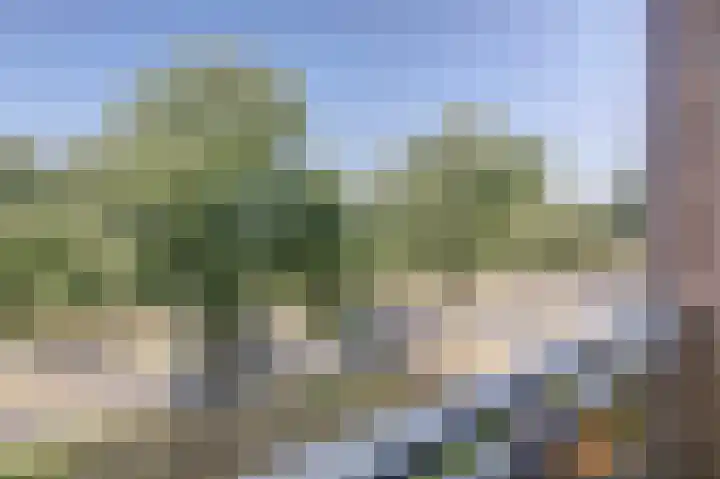 De Roskam 127 Venlo thumbnail 16