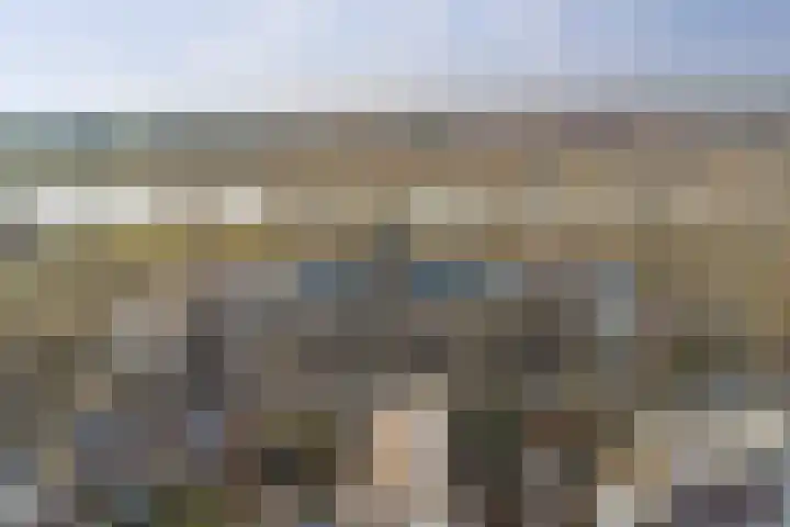 De Roskam 127 Venlo thumbnail 19