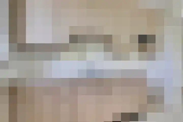De Roskam 127 Venlo thumbnail 9