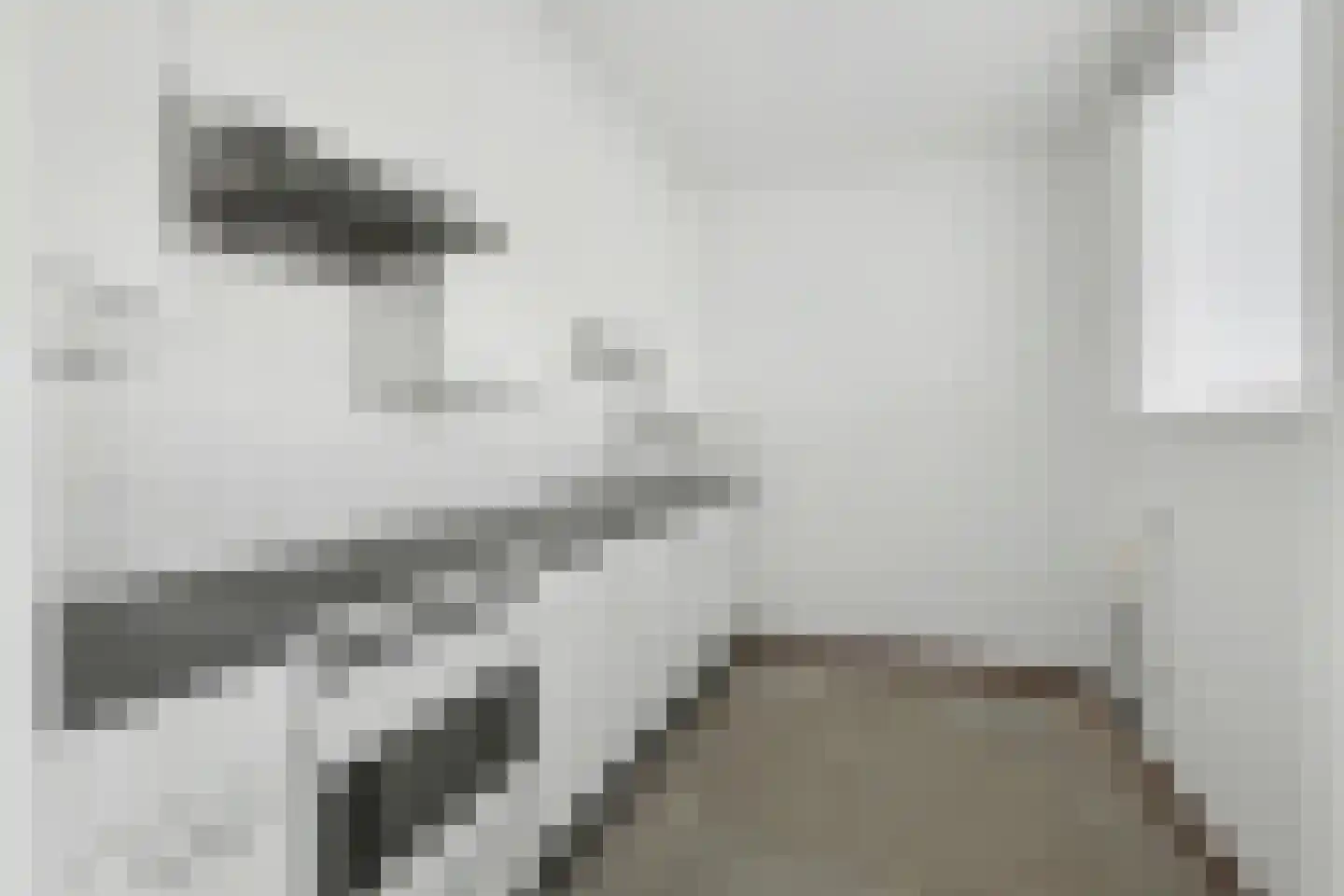 De Roskam 131 Venlo thumbnail 10