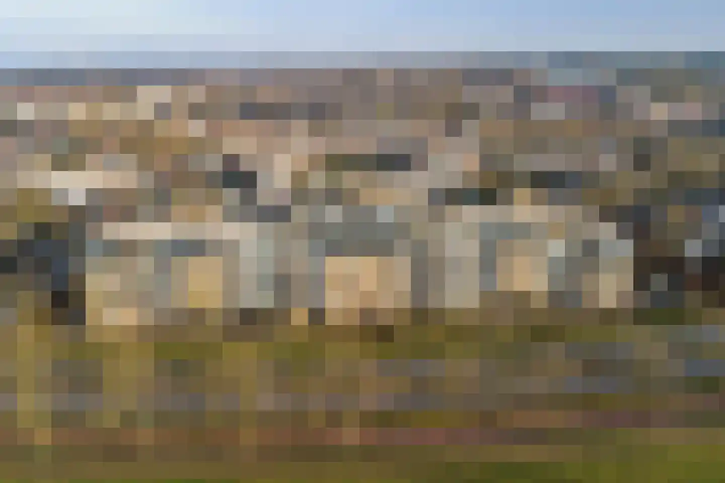 De Roskam 131 Venlo thumbnail 20