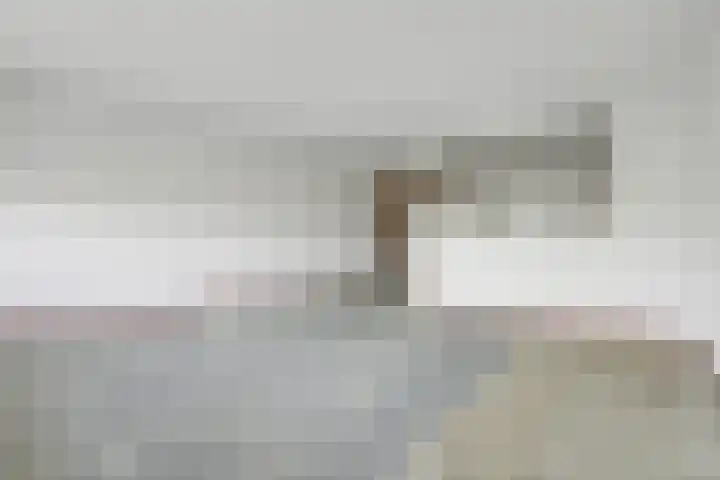 De Roskam 131 Venlo thumbnail 7