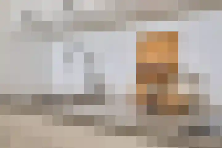 De Roskam 141 Venlo thumbnail 11
