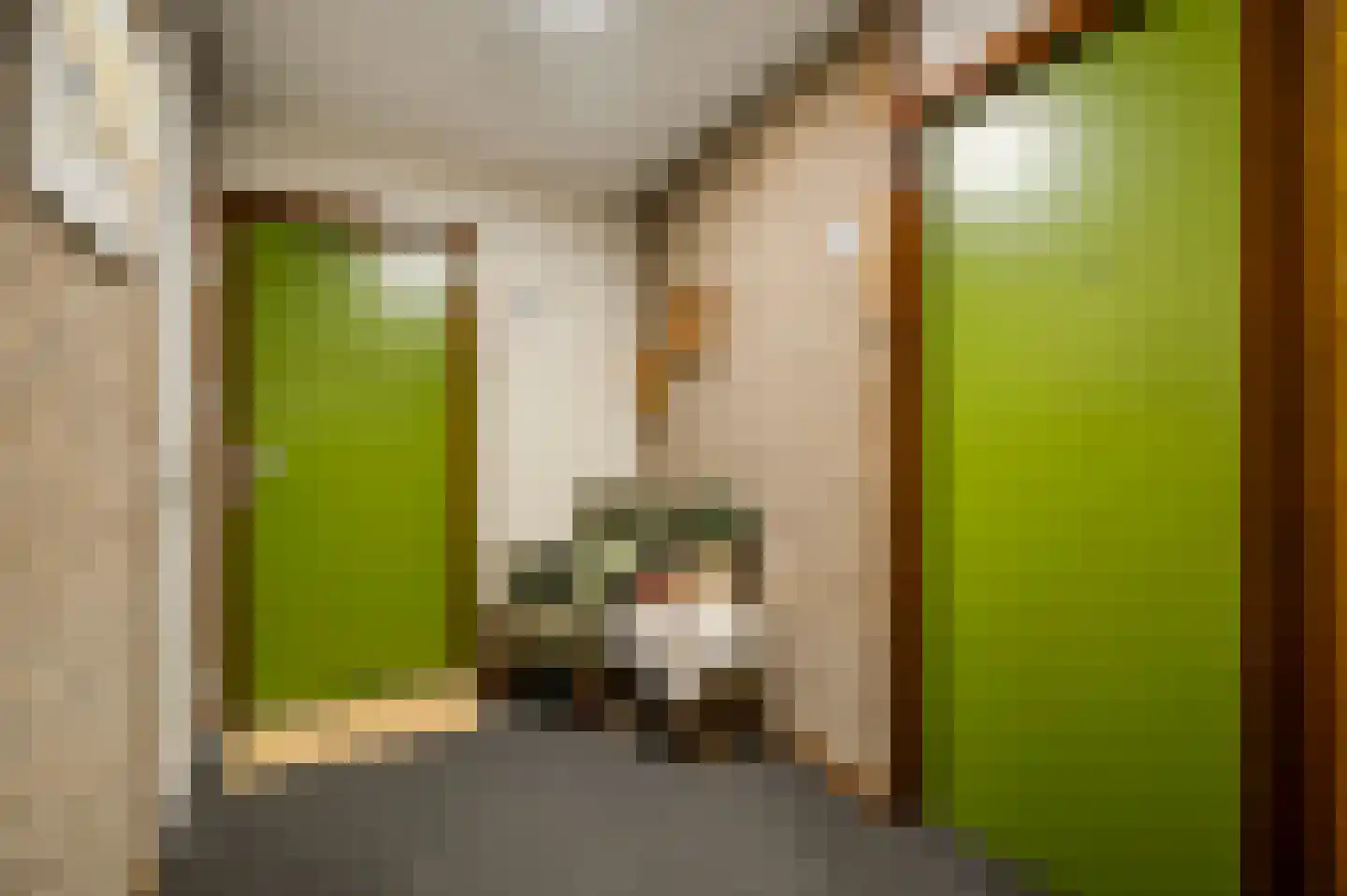 De Roskam 141 Venlo thumbnail 12