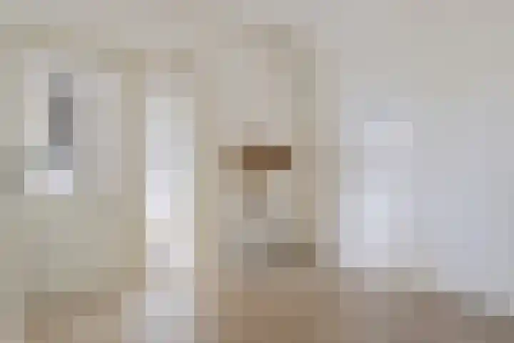 De Roskam 141 Venlo thumbnail 13