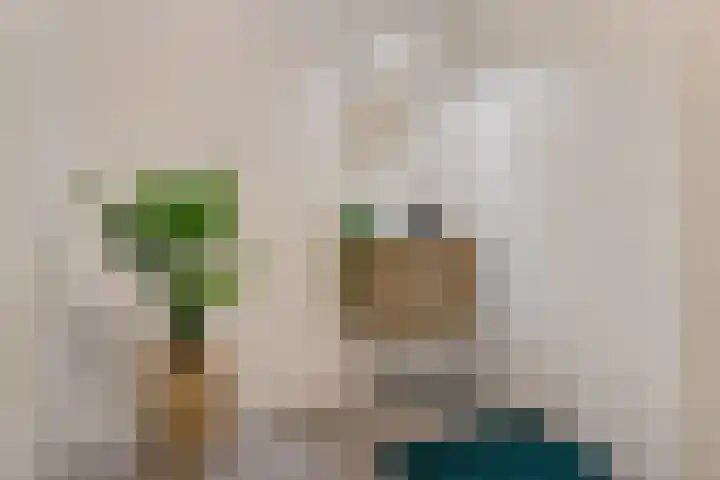 De Roskam 141 Venlo thumbnail 16