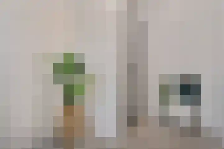 De Roskam 141 Venlo thumbnail 17