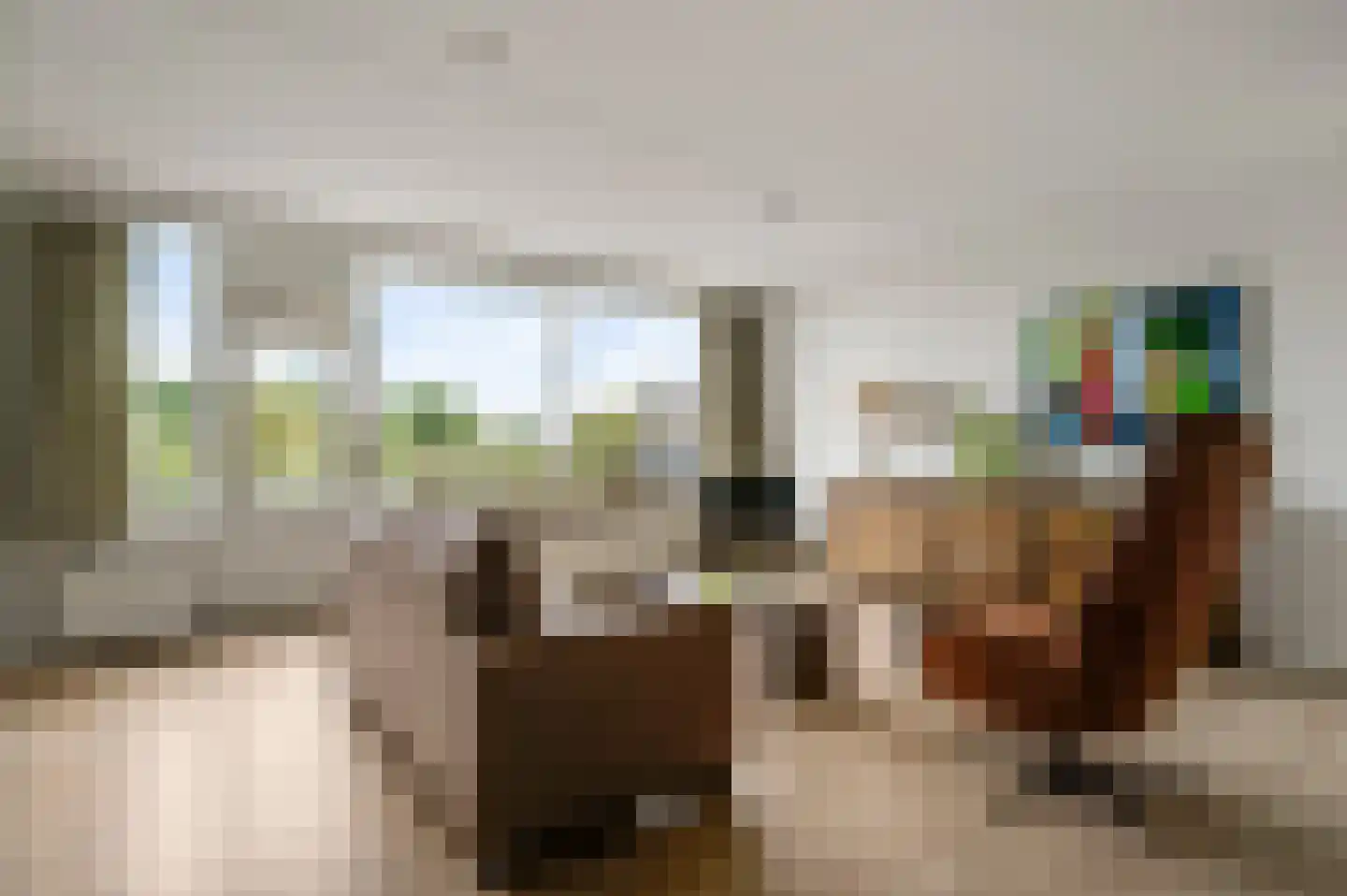 De Roskam 141 Venlo thumbnail 18