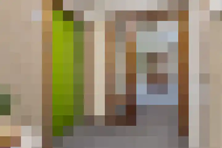 De Roskam 141 Venlo thumbnail 19