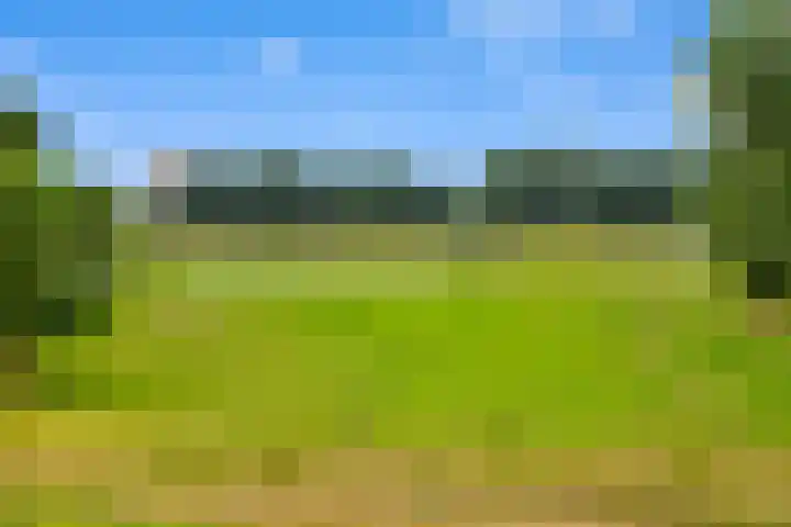 De Roskam 141 Venlo thumbnail 24