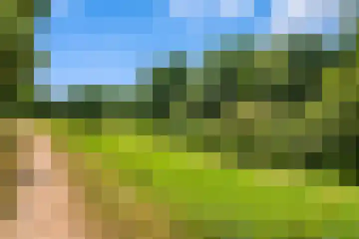 De Roskam 141 Venlo thumbnail 25