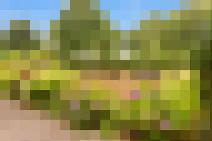 De Roskam 141 Venlo thumbnail 26