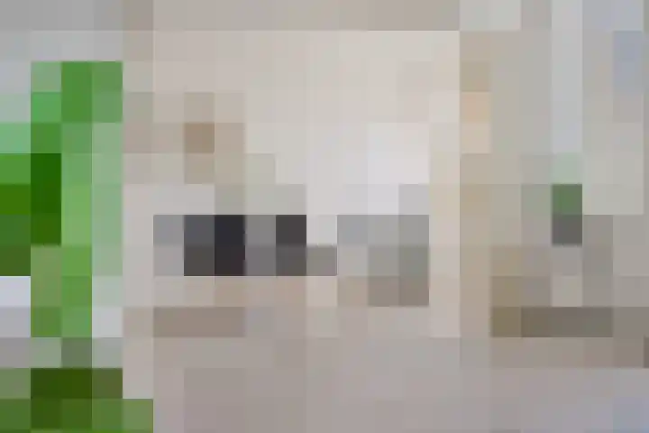 De Roskam 141 Venlo thumbnail 8