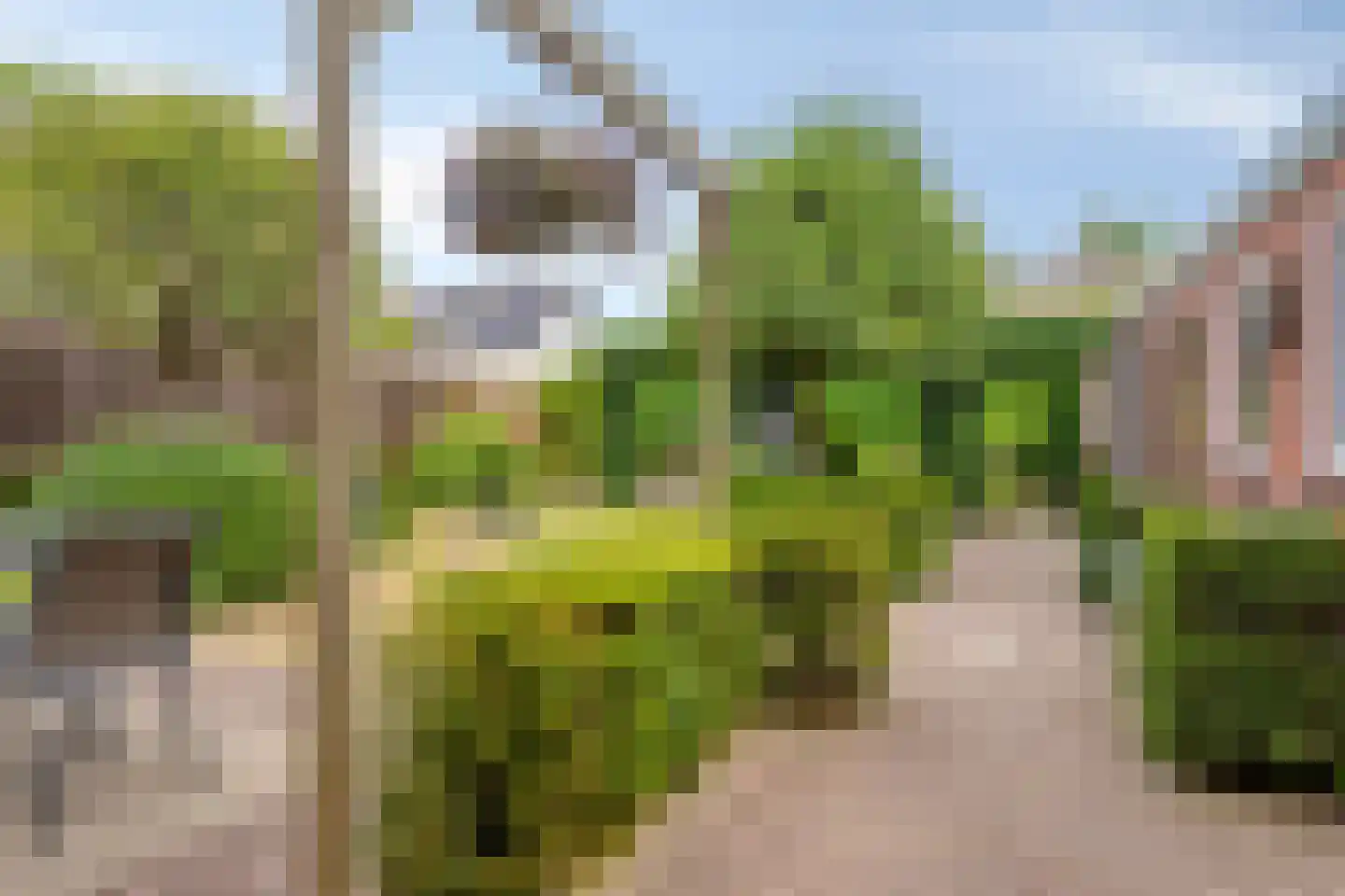 De Roskam 21 Ulvenhout thumbnail 22