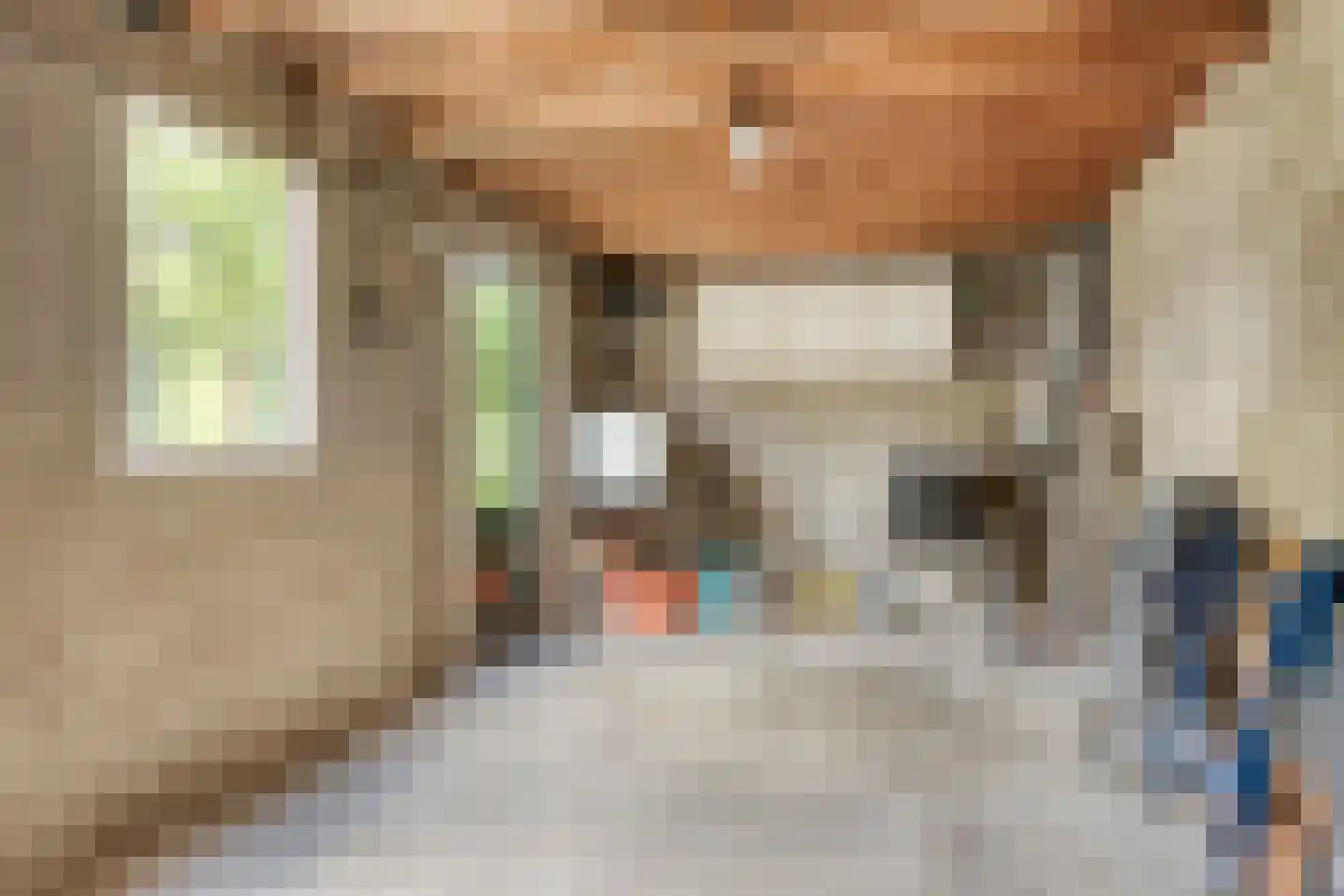 De Roskam 21 Ulvenhout thumbnail 26