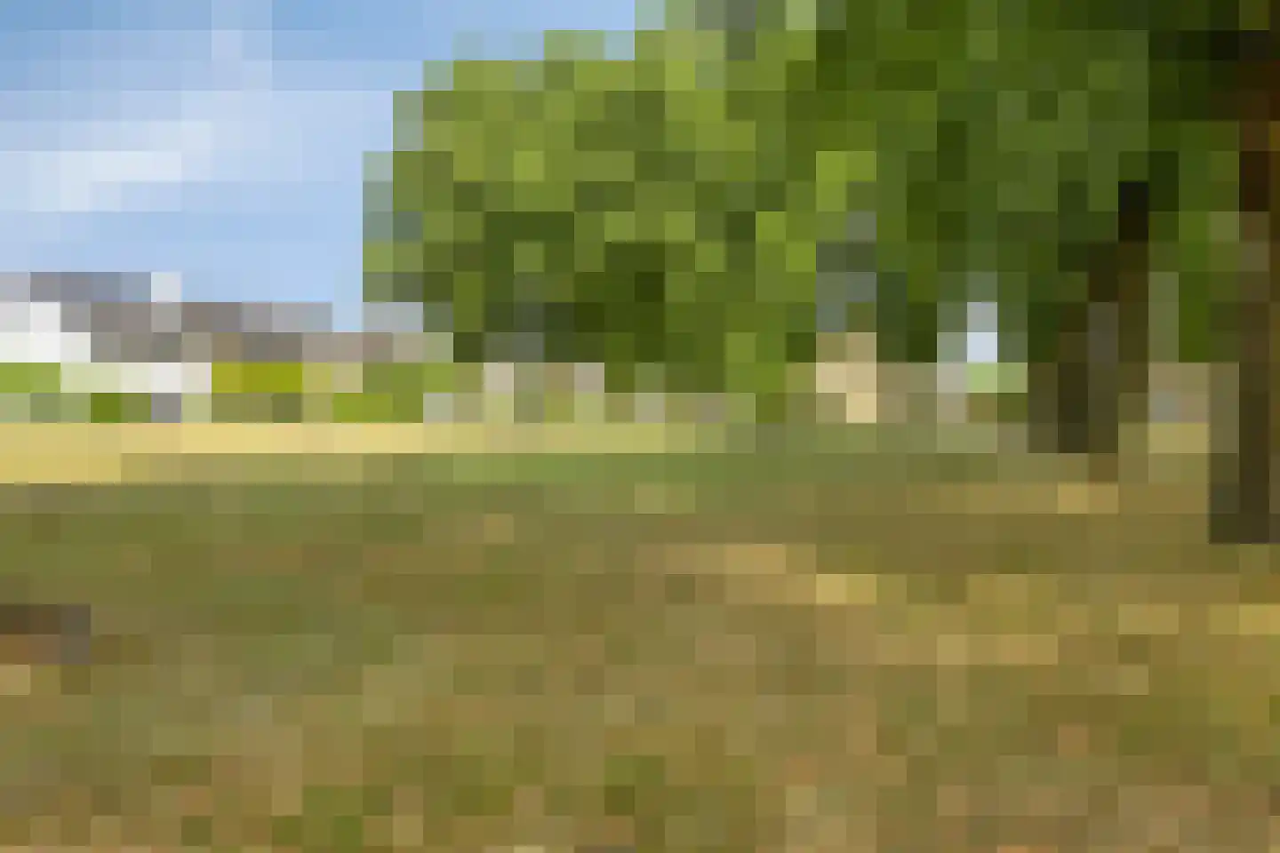 De Roskam 21 Ulvenhout thumbnail 28