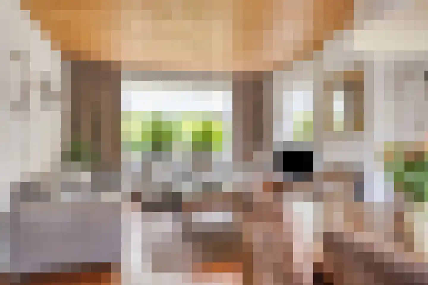 De Roskam 21 Ulvenhout thumbnail 8