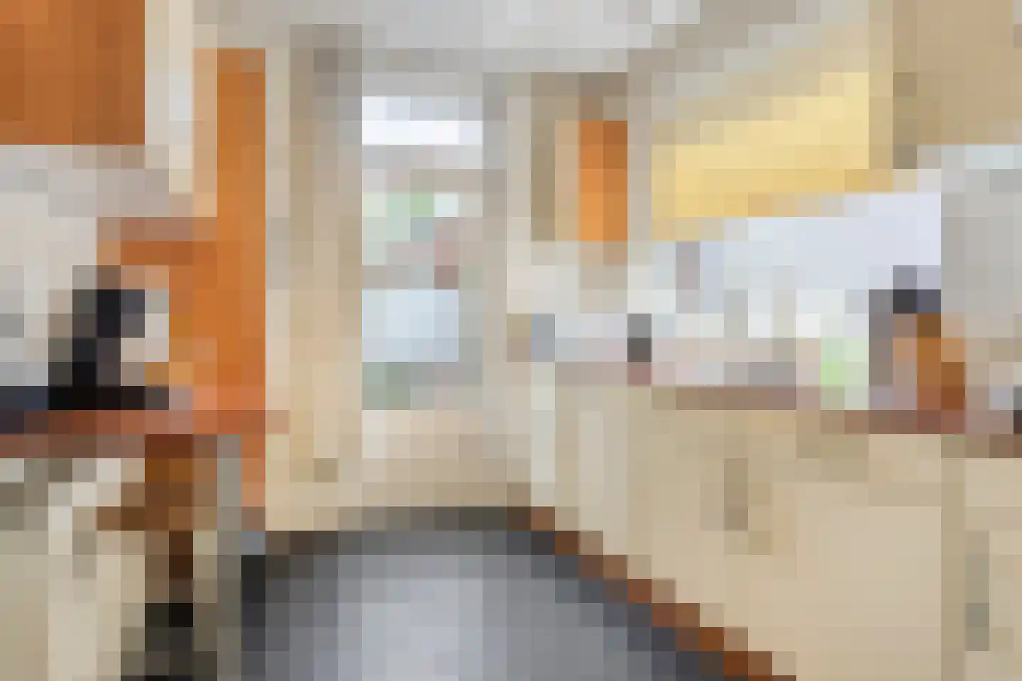 De Roskam 21 Ulvenhout thumbnail 9