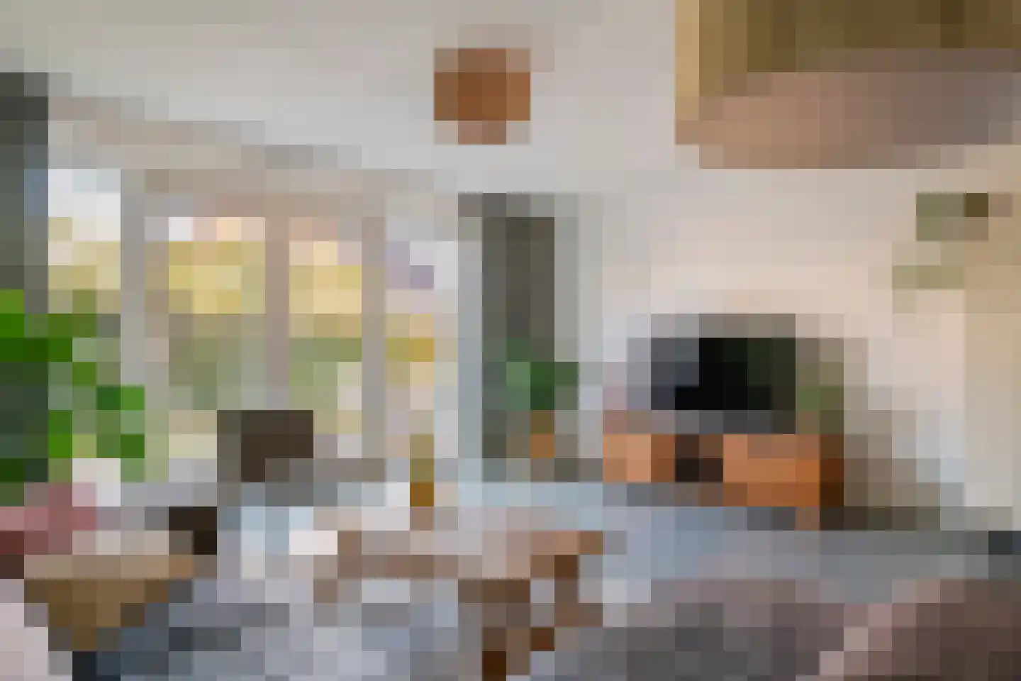 De Roskam 42 Beusichem thumbnail 15
