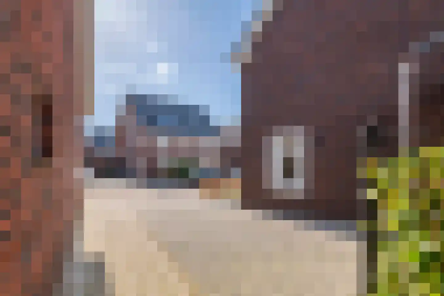 De Roskam 42 Beusichem thumbnail 41