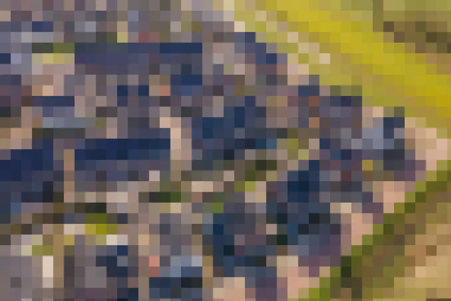 De Roskam 42 Beusichem thumbnail 44