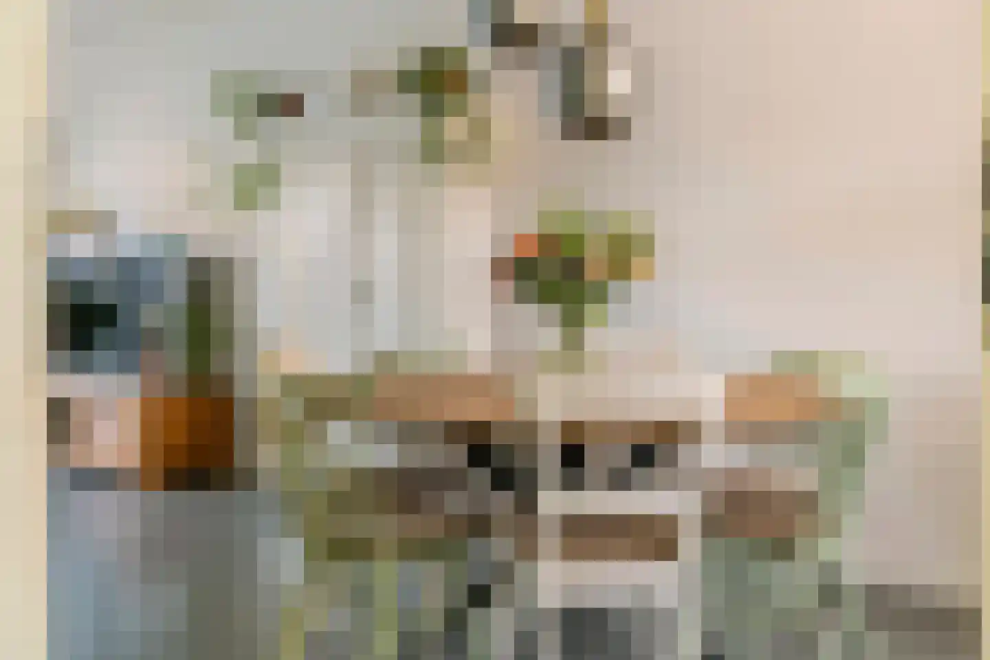 De Roskam 42 Beusichem thumbnail 7