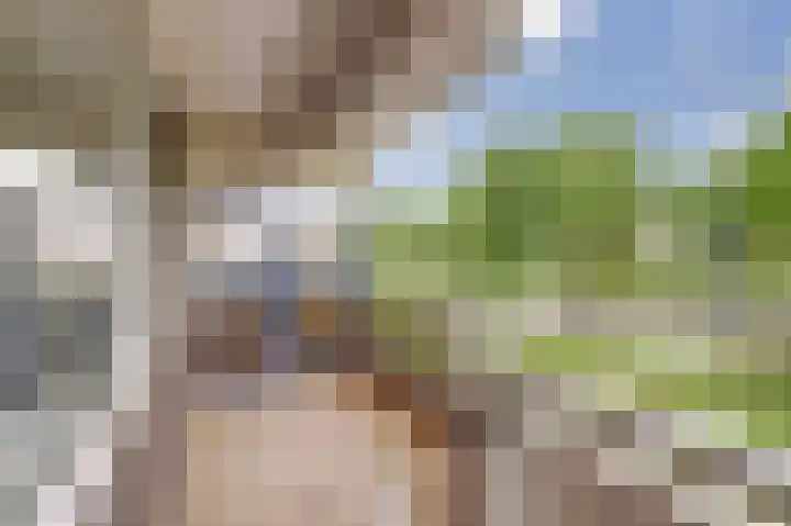 De Roskam 81 Venlo thumbnail 15