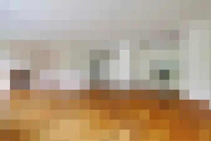 De Roskam 81 Venlo thumbnail 6