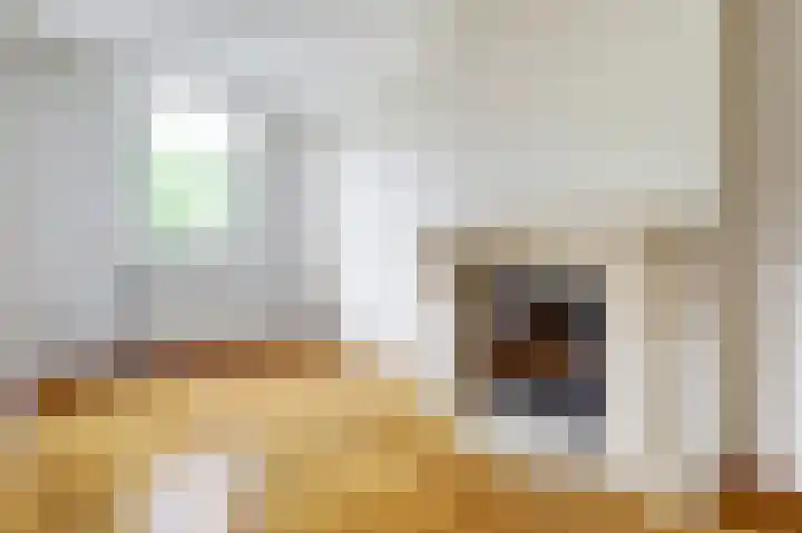De Roskam 81 Venlo thumbnail 9