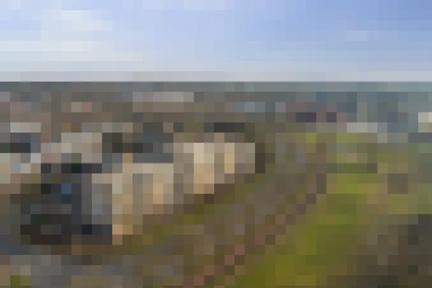 De Roskam 87 Venlo thumbnail 24