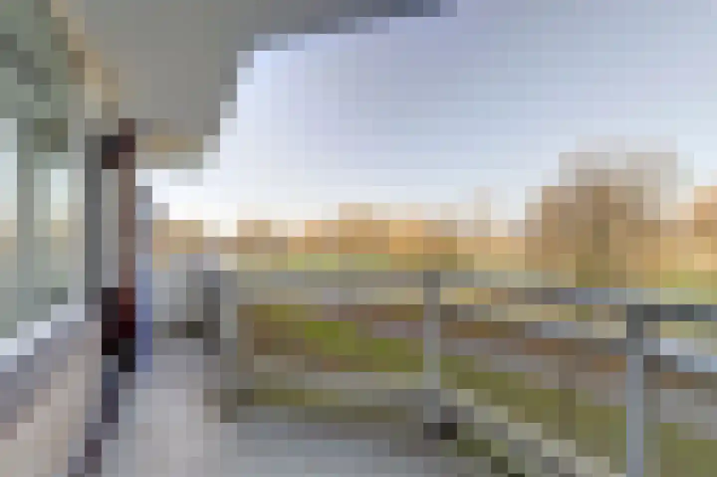 De Roskam 87 Venlo thumbnail 5