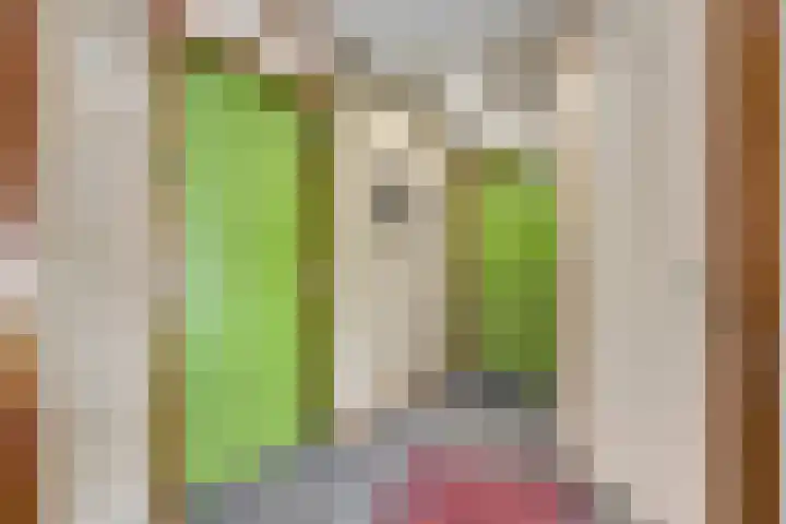 De Roskam 99 Venlo thumbnail 15