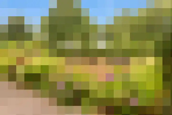 De Roskam 99 Venlo thumbnail 22