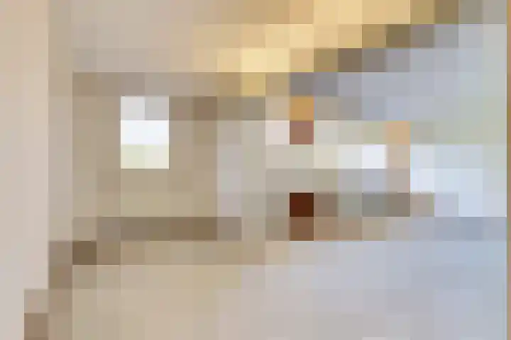 De Roskam 99 Venlo thumbnail 4
