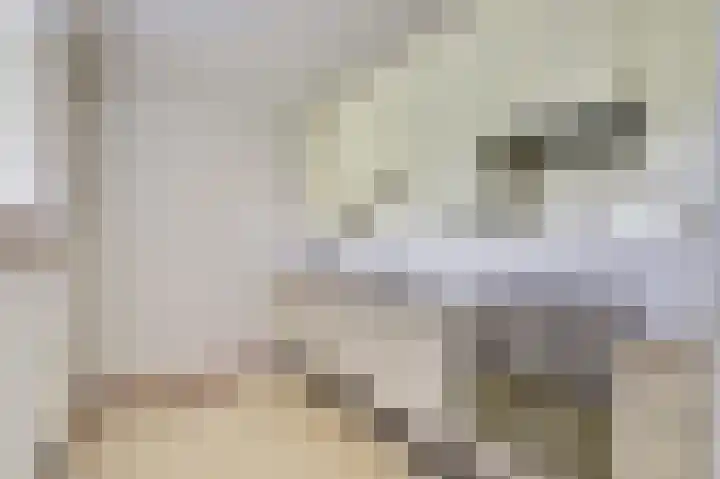 De Roskam 99 Venlo thumbnail 6
