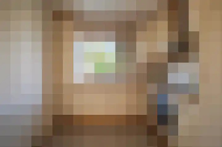De Rosmolen 116 Westervoort thumbnail 13