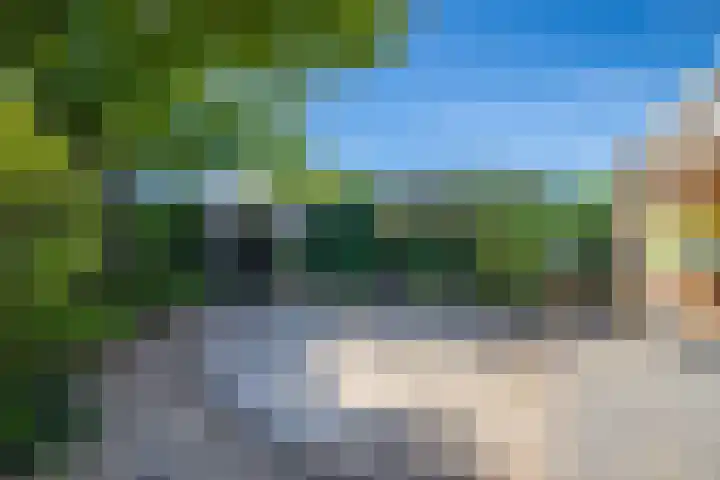 De Rosmolen 116 Westervoort thumbnail 17