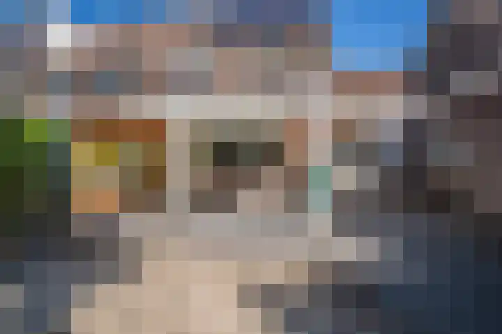 De Rosmolen 116 Westervoort thumbnail 19