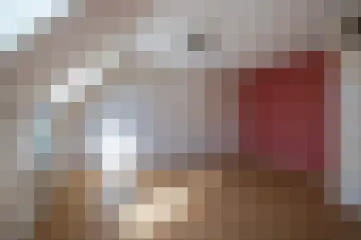 De Rosmolen 116 Westervoort thumbnail 23