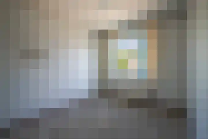 De Rosmolen 116 Westervoort thumbnail 26