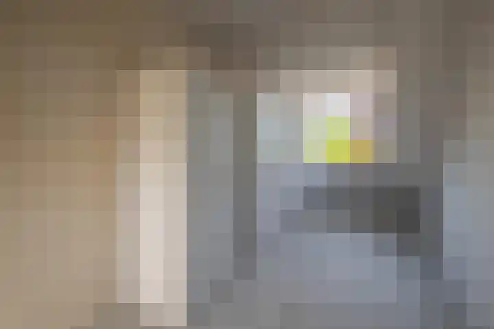 De Rosmolen 116 Westervoort thumbnail 29