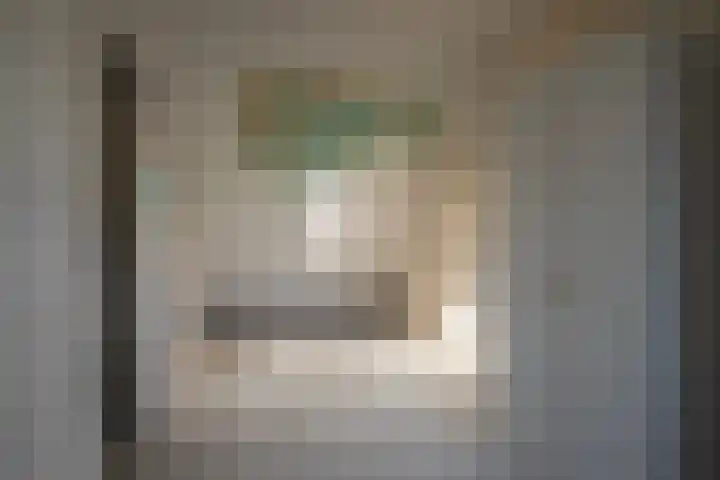 De Rosmolen 116 Westervoort thumbnail 30