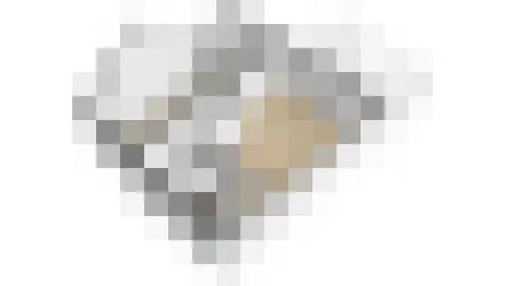De Rosmolen 116 Westervoort thumbnail 34