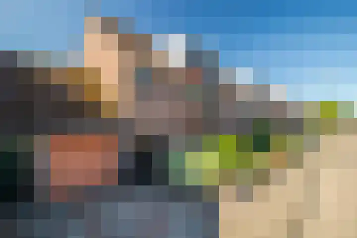 De Rosmolen 116 Westervoort thumbnail 7