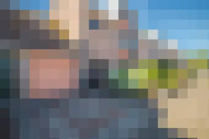 De Rosmolen 116 Westervoort thumbnail 8